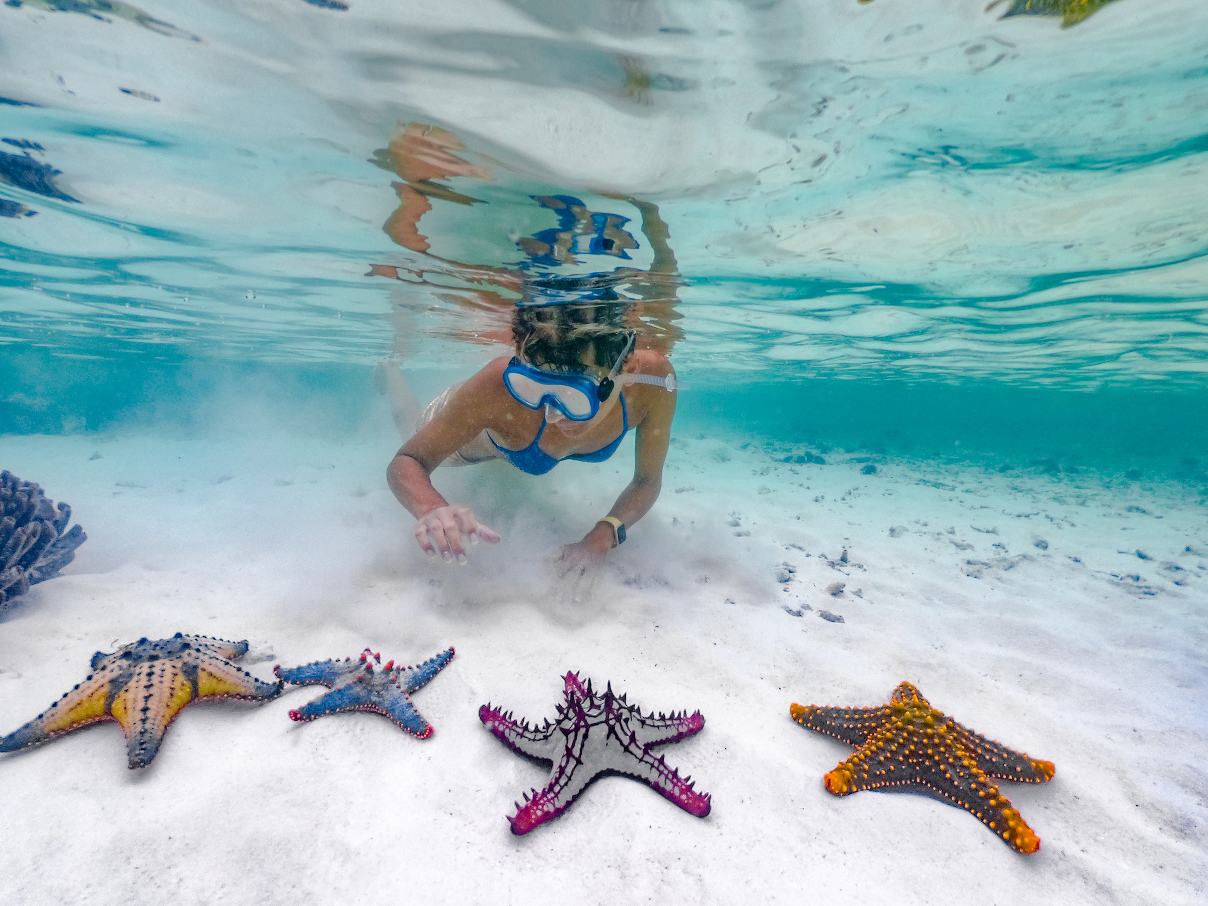 Adult Woman Snorkeling in Indan Ocean With Starfish